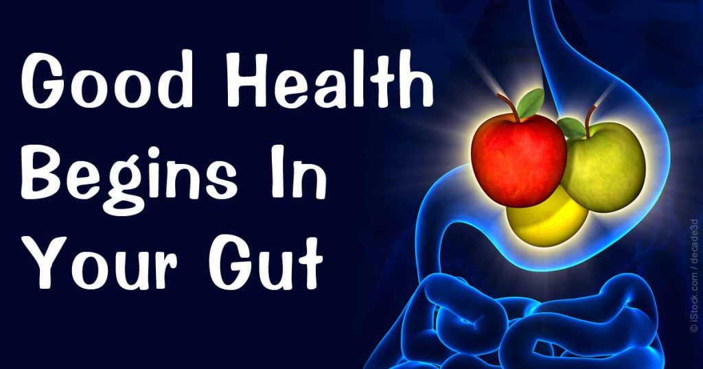Modern-diet-destroys-gut-health